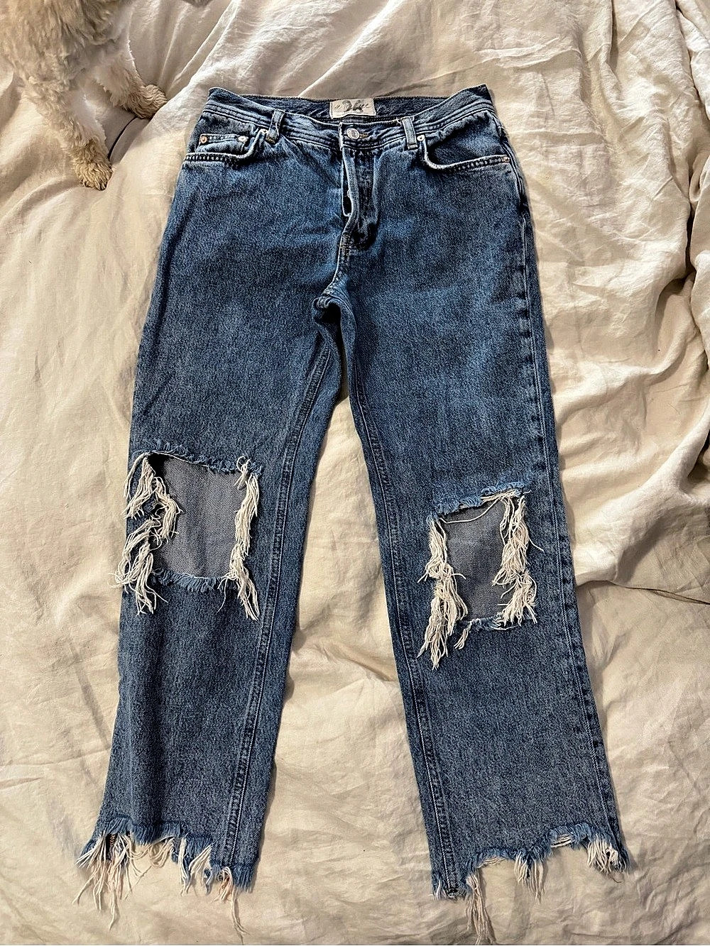 We the FreDistressed Straight Leg Jeans in Blue Waist 26